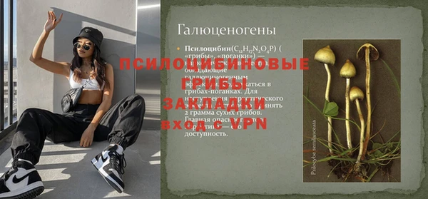 ешки Алексин