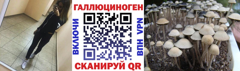blacksprut Курлово маркетплейс телеграм Псилоцибиновые грибы Magic Shrooms