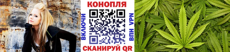 Каннабис White Widow  Курлово 
